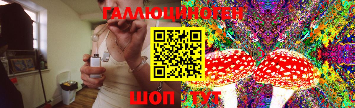 Богородицк  где продают   Вход с VPN  Псилоцибиновые грибы MAGIC MUSHROOMS 